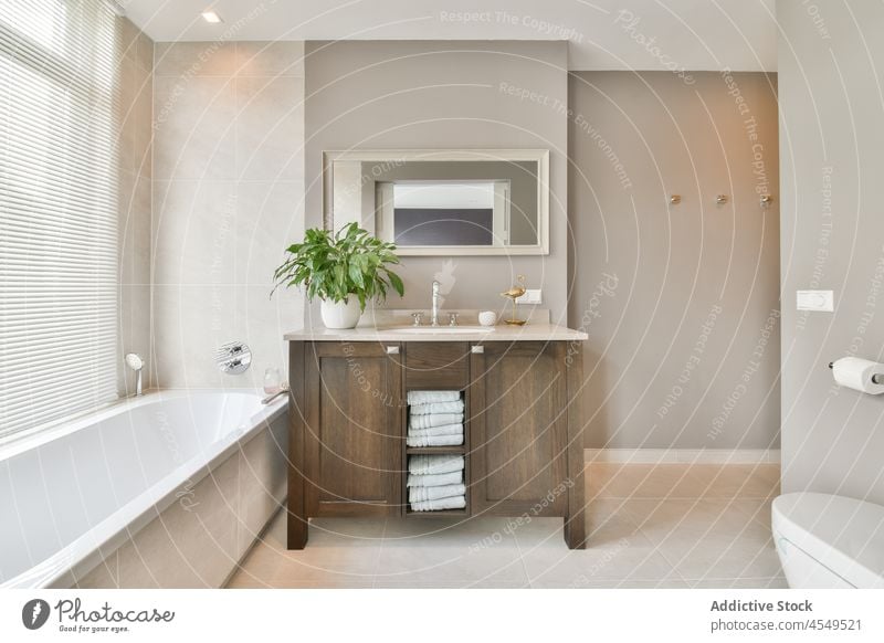 Innenraum eines geräumigen Badezimmers in einer modernen Wohnung Innenbereich Waschbecken Design Appartement Badewanne Kabinett Pflanze Spiegel