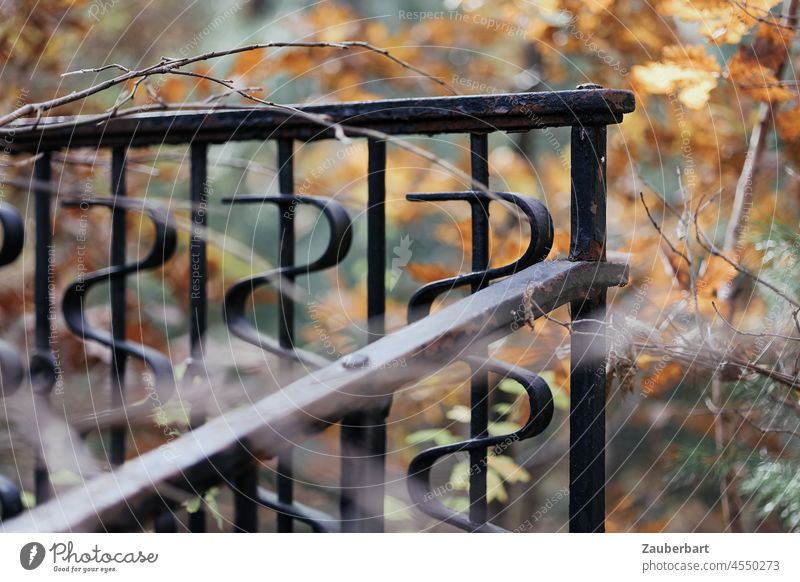Ecke eines geschmiedeten Geländers im Herbstlaub Herstblaub Schmiedearbeit Herbstfarben Linien Strukturen verlassen Strukturen & Formen Metall Muster
