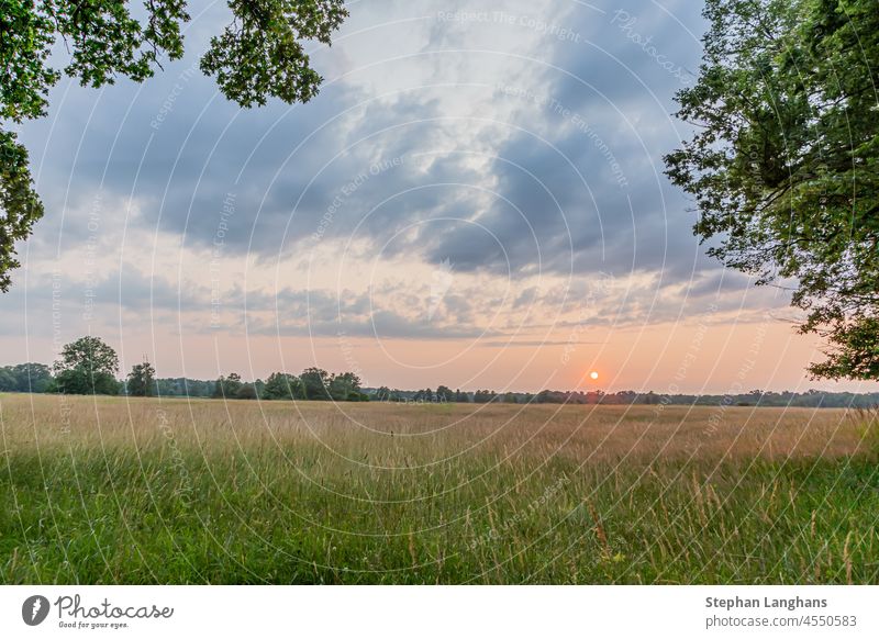 Szene eines Sonnenuntergangs im Naturschutzgebiet Gundwiesen in der Nähe des Frankfurter Flughafens Erholung rhein-main-gebiet Deutschland Wald Baum Sonnenlicht