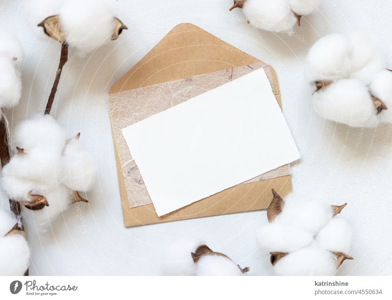 Blankokarte und Umschlag auf weißem Tisch mit Baumwollblumen Ansicht von oben Hochzeit Attrappe Einladung Postkarte Baumwolle Weihnachten Kuvert Blume Ast