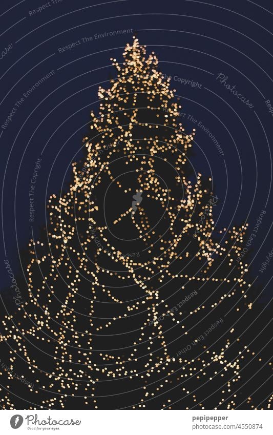 Weihnachtsbaum Weihnachten & Advent Weihnachtsdekoration Tannenbaum weihnachtlich festlich Tradition Dekoration & Verzierung Winter Feste & Feiern Baum Stimmung