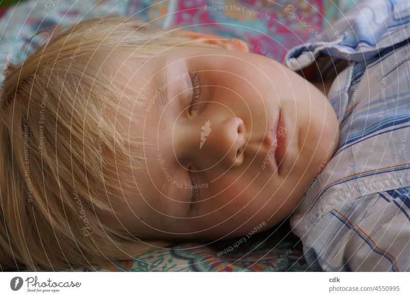 Kindheit | schlafender Engel-Bengel Junge Gesicht blond Augen zu geschlossene Augen entspannt relaxt Pause ausruhen Schlaf Nickerchen eingeschlafen Geborgenheit