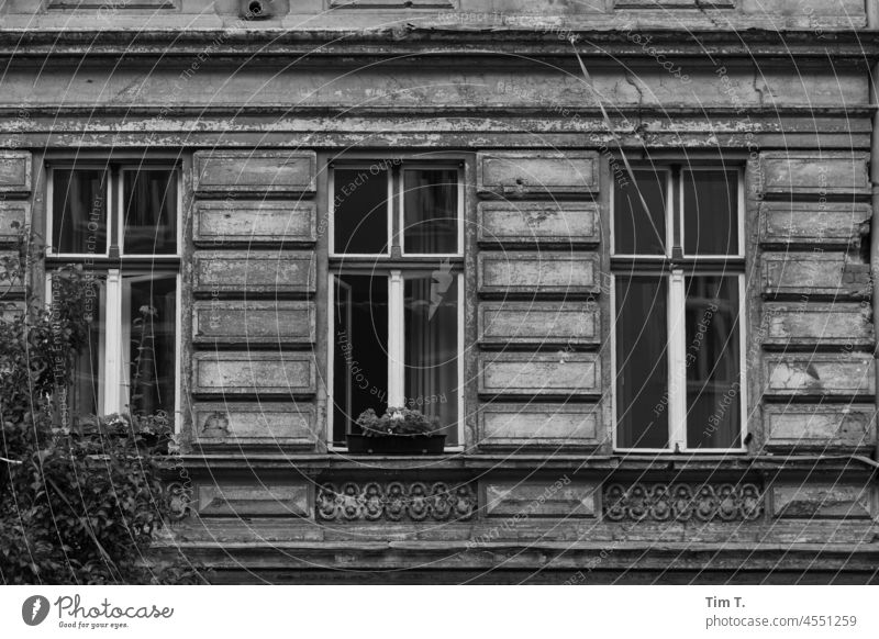 Fenster in einer alten Fassade s/w Prenzlauer Berg unsaniert Stadt Stadtzentrum Hauptstadt Berlin Tag Menschenleer Außenaufnahme Altstadt Schwarzweißfoto