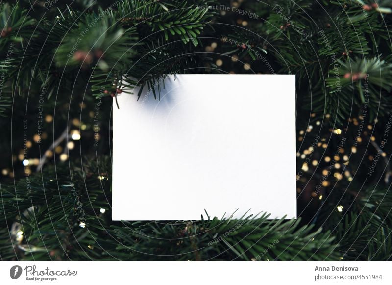 Rahmen aus Xmas-Baumzweigen mit Mock-up Weihnachten Postkarte kreativ Ast Hintergrund Dekoration & Verzierung Feiertag sehr wenige Winter grün weiß Stilrichtung