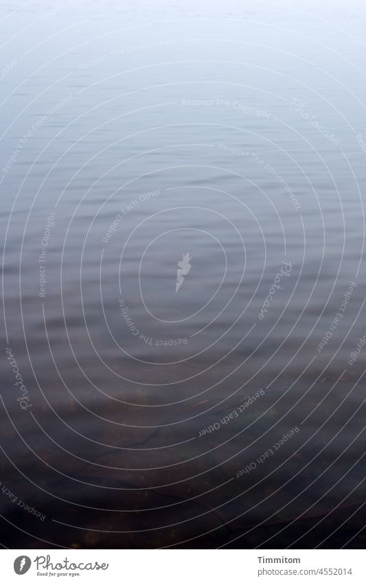 Mummelsee - Blick auf das kalte Wasser in Ufernähe See Wellen sachte ruhig Boden braun blau Menschenleer Natur Seeufer Nebel Winter