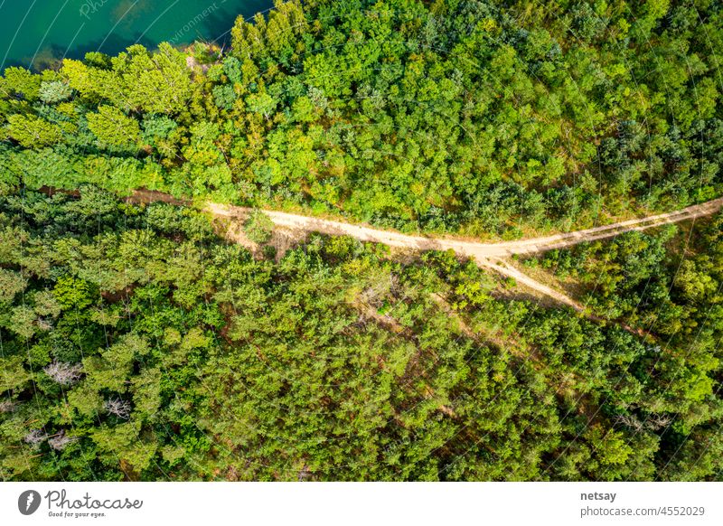 Luftaufnahme einer Landstraße, die durch den grünen Wald führt Straße Ansicht Top Weg Overhead Antenne Berge u. Gebirge Dröhnen oben Schuss Baum Alpen