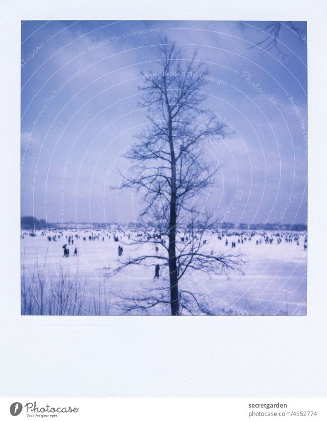 Es war einmal in Hamburg, als die Alster zugefrohren war, und Hunderte von Menschen flanierten staunend über das Eis, als plötzlich..... Baum Winter kalt