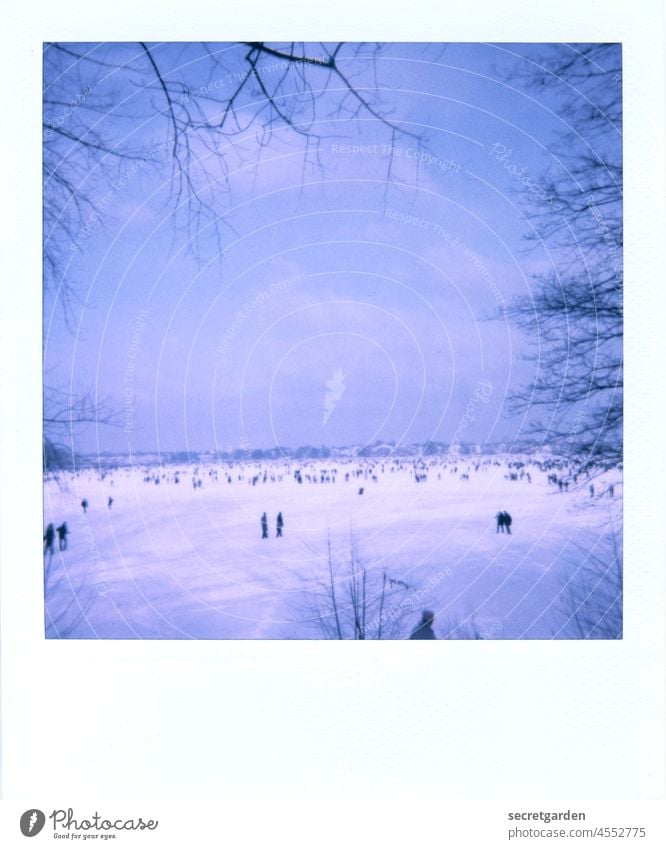 Wandeln auf dem Wasser. Alster Hamburg Baum Winter kalt Polaroid analog Menschenmenge blau weiss kahl Eis zugefroren Eisdecke Himmel Wolken Wintertag