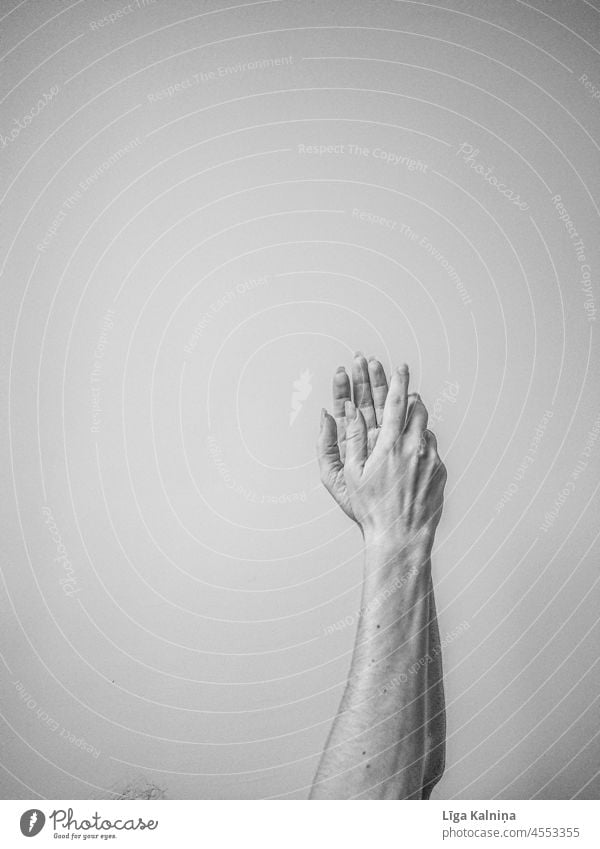Hände in Schwarz und Weiß Hand Finger Arme Handfläche Mensch Haut Handgelenk minimalistisch sehr wenige Körperteil Hintergrund neutral Lichterscheinung Schatten