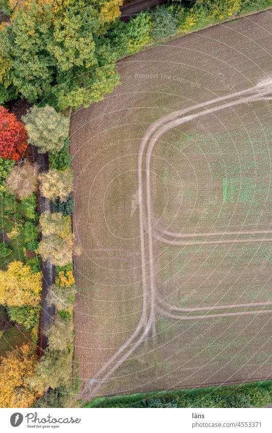 herbstlich der Wald, herbstlich das Feld Landwirtschaft Herbst Baum Farbfoto Menschenleer Textfreiraum rechts Textfreiraum unten Herbstfärbung Vogelperspektive
