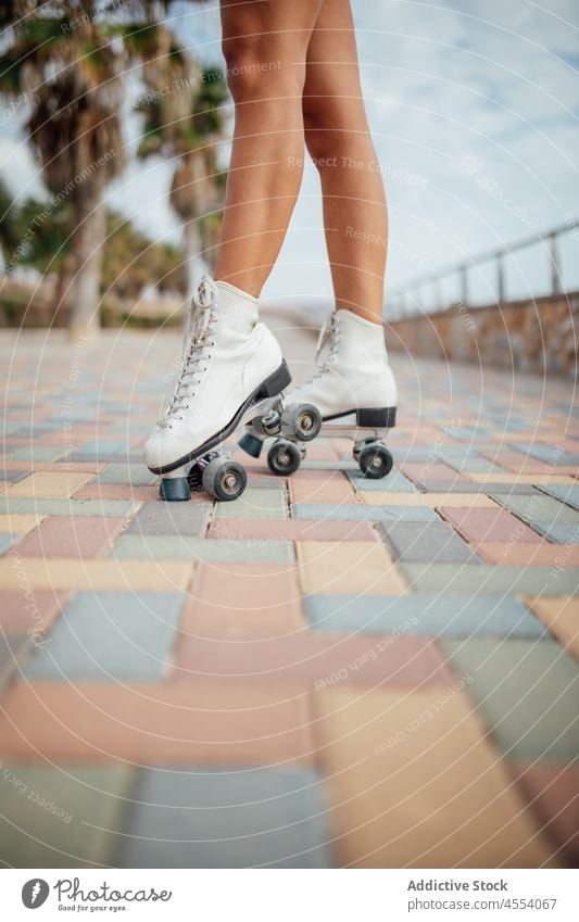 Beine einer unerkennbaren Rollschuhfahrerin Frau Rollerskate Straße sportlich Hobby Aktivität Gesunder Lebensstil Wohlbefinden Training Sommer Wellness Freizeit