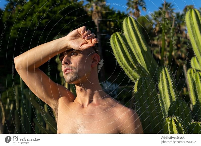 Selbstbewusster Mann ohne Hemd, der im tropischen Garten wegschaut selbstsicher Resort Sommer Feiertag Urlaub exotisch selbstbewusst nackte Schultern Natur
