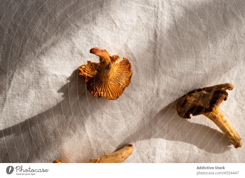 Pilze auf Tischtuch in ländlichem Haus Pfifferlinge essbar Schalen & Schüsseln wild Küche roh abholen Herbst Ernte Lebensmittel Landschaft pflücken Wald