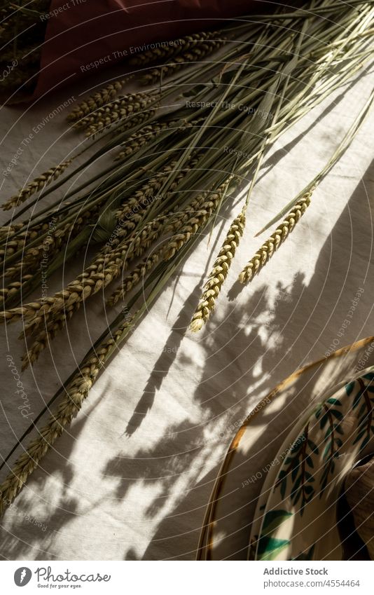 Bündel Weizenspitzen auf dem Tisch Müsli Roggen Gras Zweig Teller ländlich trocknen Sonnenlicht Geschirr Keramik Gewebe Vorbau zerbrechlich Schatten Stengel