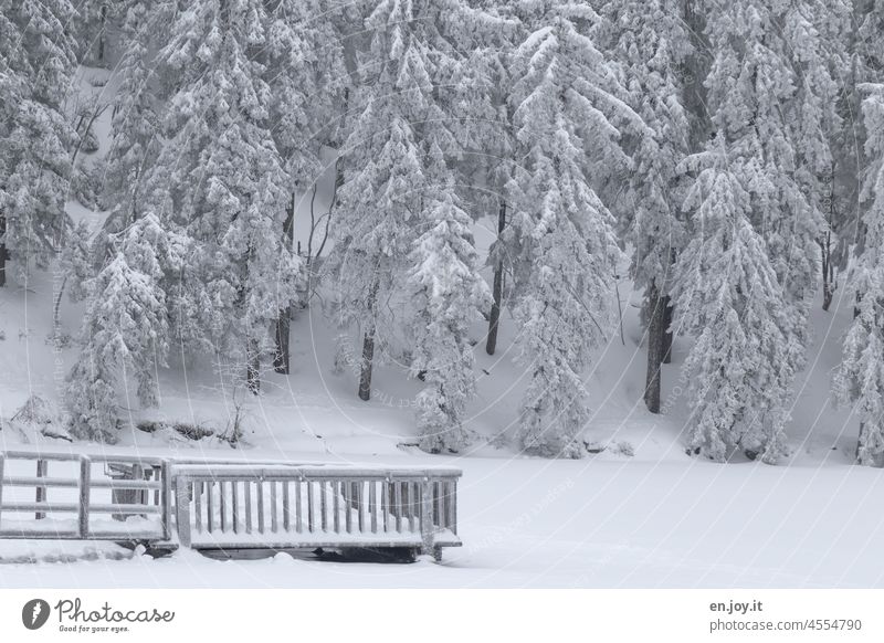 Schneelandschaft im Schwarzwald Winter Schneedecke schneebedeckt Winterstimmung Wintertag weiß Bäume Wald Winterwald Zaun Frost Winterlandschaft Kälte