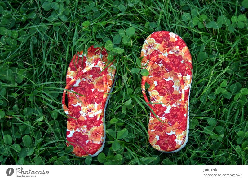 flippig oder floppig? Gras Flipflops Schlappen Sommer grün rot Schuhe Grasgeflüster Freizeit & Hobby blumig Fußbekleidung