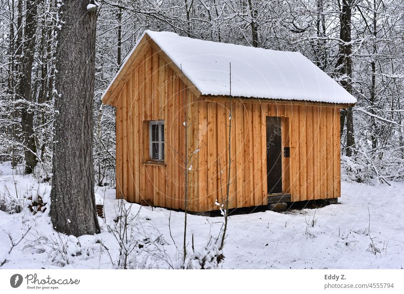 Eine einsame Hütte im Winterwald. Der ruhige Wald bietet schöne kontemplative Erlebnisse. Schöpfe neue Energie und erfreue dich an der Abgeschiedenheit der  Winterlandschaft