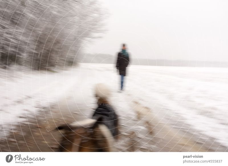 Spaziergang im Schnee im Freien eisig Winterlandschaft verschneite kalt Frau Schneefall Unschärfe Hund Collie