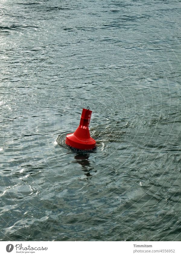 Neckarboje Fluss Wasser Boje rot glänzend Wellen klein Menschenleer Reflexion & Spiegelung Umwelt Schwimmkörper