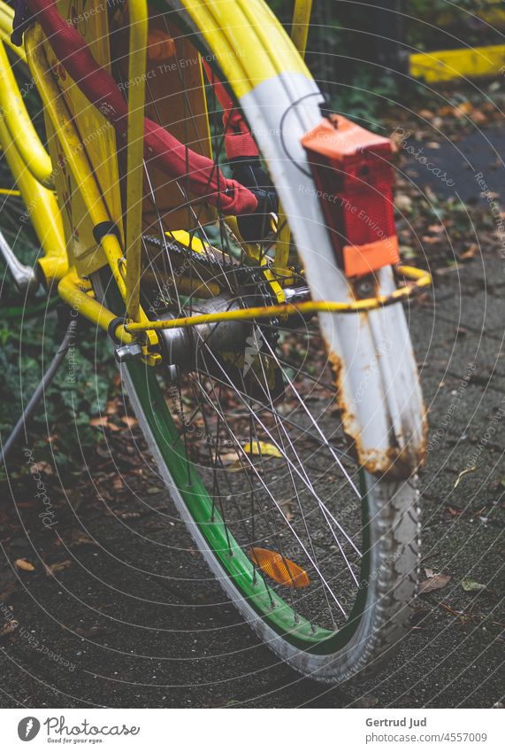 Gelbes, rostiges Fahrrad steht an einem Fahrradständer Farbe Gelb Herbst Herbstfarben Rost Speichen Rücklicht alt Außenaufnahme Farbfoto Patina Rad