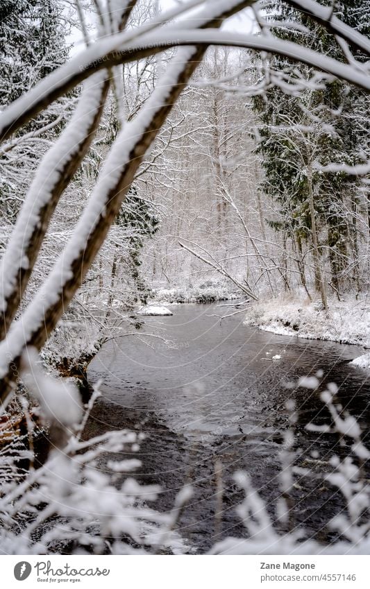 Fluss im Winter wandern Schnee Wanderung Wald Lettland Natur Landschaft Umwelt Kälte Winterstimmung Wintertag Winterwald Schneelandschaft Wetter weiß Frost