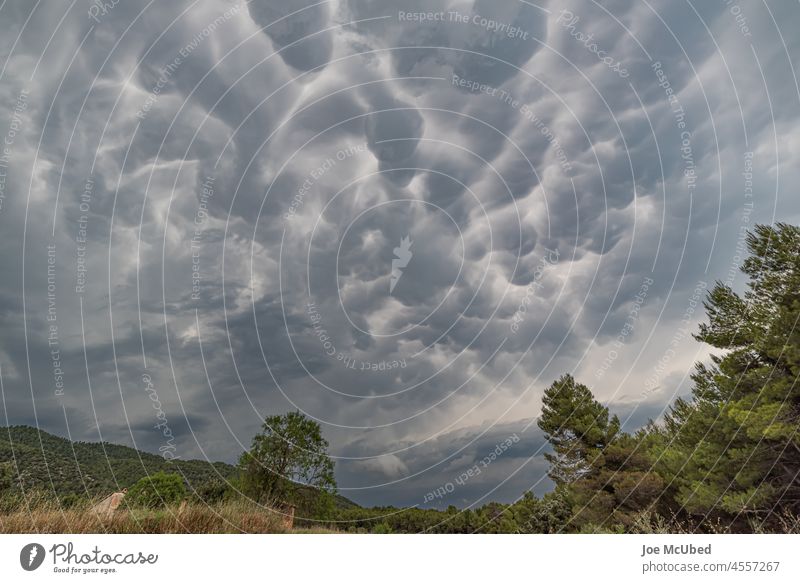 Wolken und Kumuluswolken am stürmischen Himmel Altokumulus altostratus Cirrus Cloud kumulonimbus dunkel Landschaft Mammut mastodontisch Meteorologie Natur
