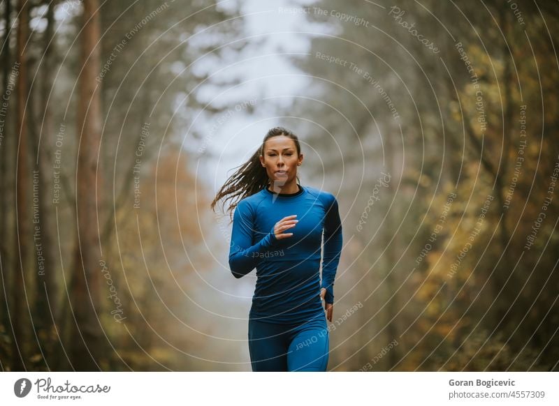 Junge Frau läuft im Herbst auf dem Waldweg auf die Kamera zu Aktivität jung laufen passen Fitness Läufer sportlich Athlet Natur Wälder aktiv Lifestyle im Freien