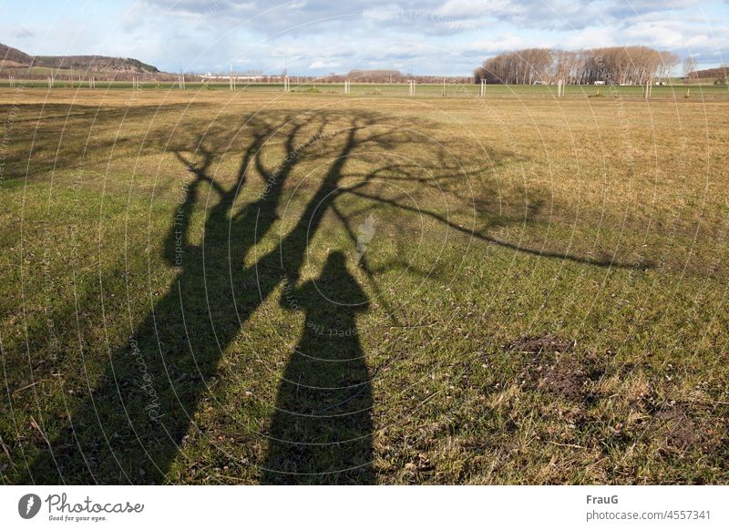 Schattenspiel- der Baum und ich Landschaft Feld Wiese Gras Licht Sonnenlicht Schönes Wetter Mensch Frau anfassen fotografieren Winter Himmel
