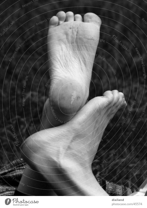 Tango sphaerica Barfuß Zehen Schuhsohle Fuß Schwarzweißfoto Detailaufnahme paarweise