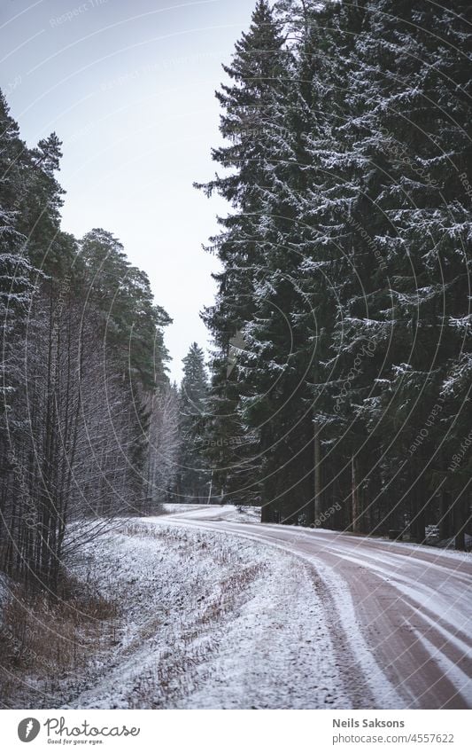 Landschaft mit Bäumen in der Nähe einer glatten Winterstraße schön blau Weihnachten kalt Wald Frost frostig gefroren Eis Licht Natur im Freien Park Weg Straße