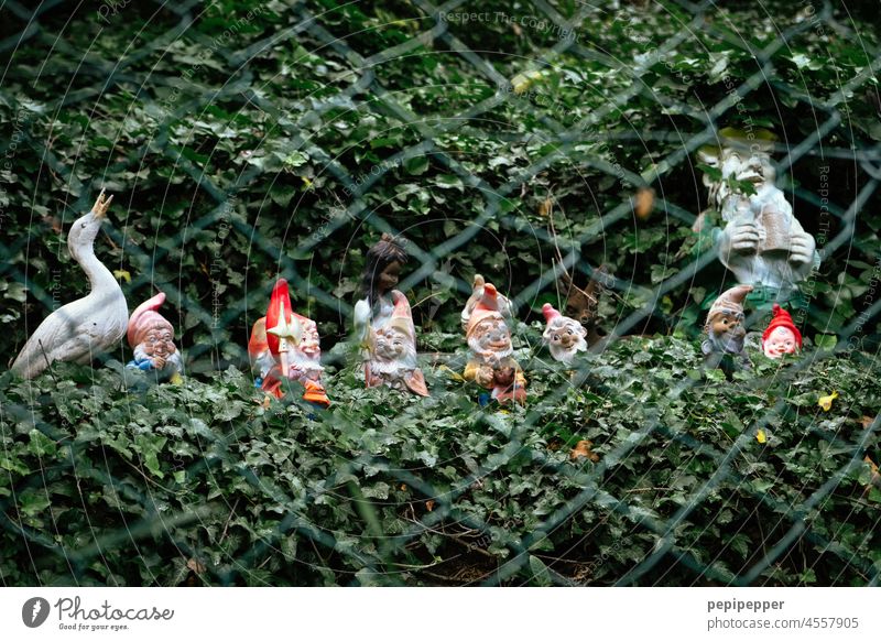 Gartenzwerge hinter einem Zaun gartenzwerge müssen draussen bleiben Zwerg Kitsch Nikolausmütze Außenaufnahme Spießer Dekoration & Verzierung Freude Menschenleer