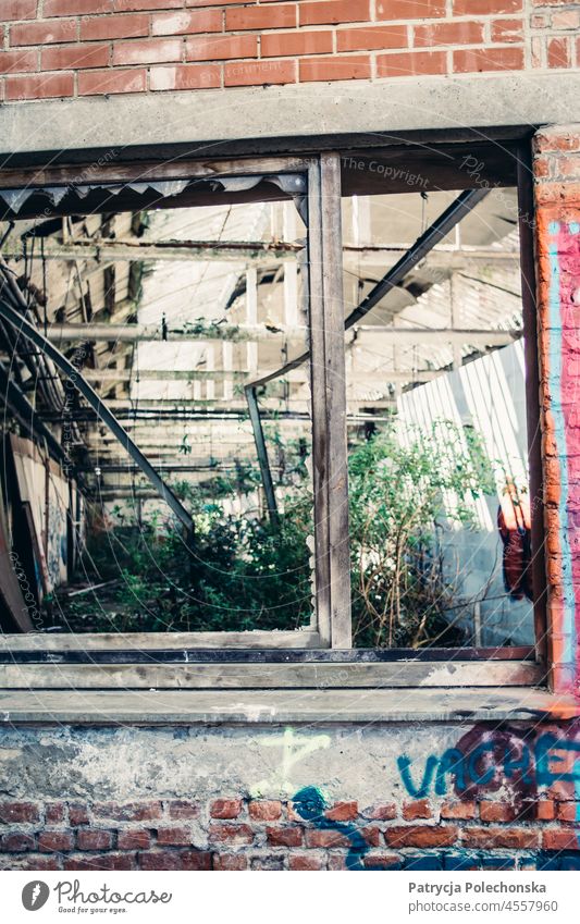 Fenster eines verlassenen alten Gebäudes mit Graffiti an den Wänden Verlassen verwittert Beschädigte Baustein bewachsen
