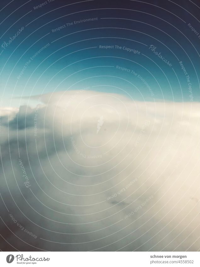 Himmelbild Fliegen Flug Urlaub Sonne Wolken Gott Wetter Horizont Aussicht Perspektive Weitsicht Klarheit Weite Luft Natur