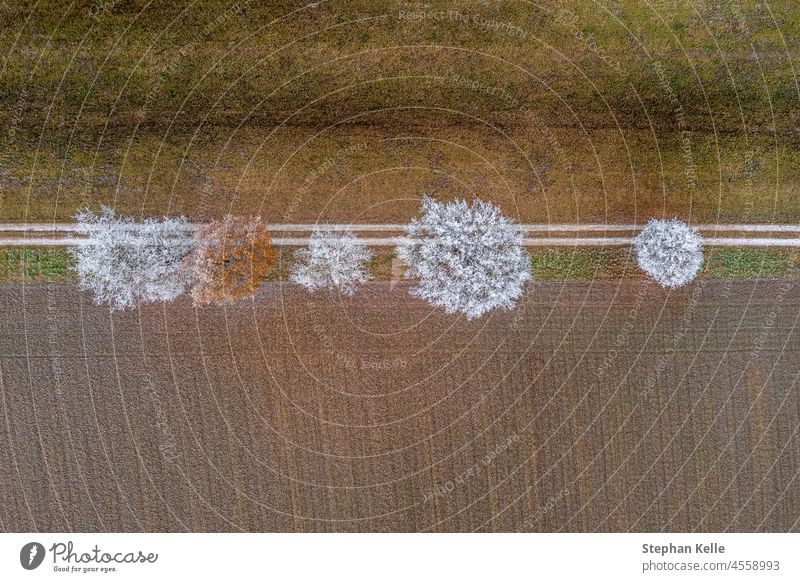 Luftaufnahme von oben auf gefrorene weiße Baumkronen. Winter kalt im Freien Landschaft Saison Hintergrund Frost Eis schön Tag Umwelt Feld Ackerbau Klima brr