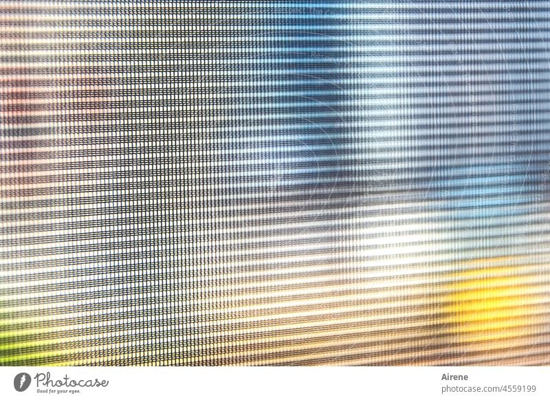 surreal | das Netz im Kopf Jalousie Sichtschutz Verheißung Fenster draußen drinnen netzartig geschlossen dicht Kunststoff straff vergittert gelb blau Farbe