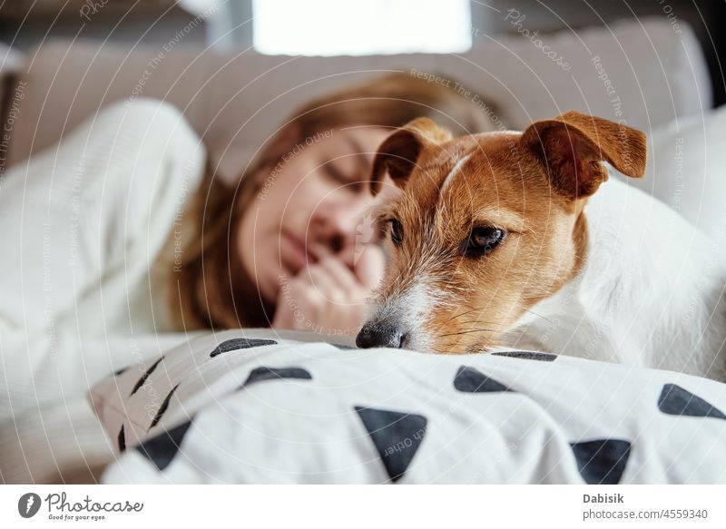 Frau schläft mit Hund auf Sofa Haustier Tier Bett schlafen Freundschaft ruhen Kaukasier Lifestyle schön niedlich Begleiter müde Erholung träumen Lügen hübsch