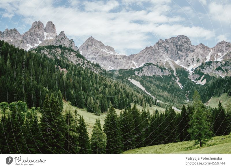Alpen Berge in Filzmoos Sommerlandschaft in Österreich Landschaft filzmoos bischofsmütze grün
