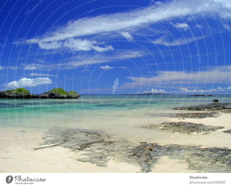 Subtropische Natur Japan Okinawa Iriomote Hoshizuna Beach Korallen Strand Ferien & Urlaub & Reisen Shamisen Insel Nationalpark Blauer Himmel
