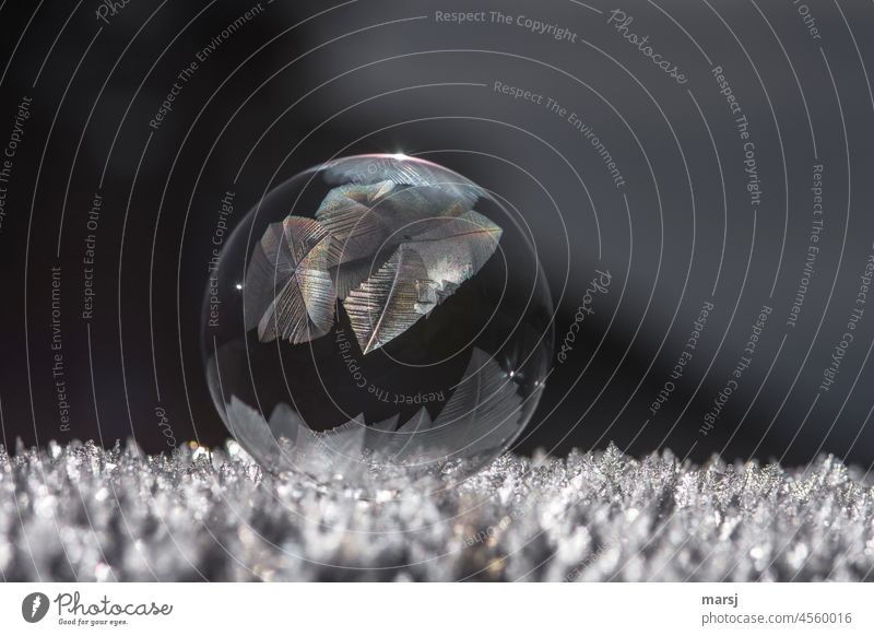 Das Kunstwerk einer zufrierenden Seifenblase. Sanft gebettet auf Tausenden von Eiskristallen. kalt dünn Kontrast Licht außergewöhnlich Vergänglichkeit