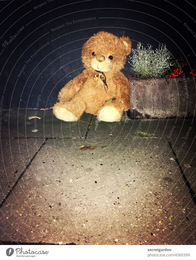 Ich und kindisch? Komm Teddy wir gehen! vergessen verloren Straßenrand einsam obdachlos nachts traurig herzzerreißend Mitleid Einsamkeit Kindheit Farbfoto