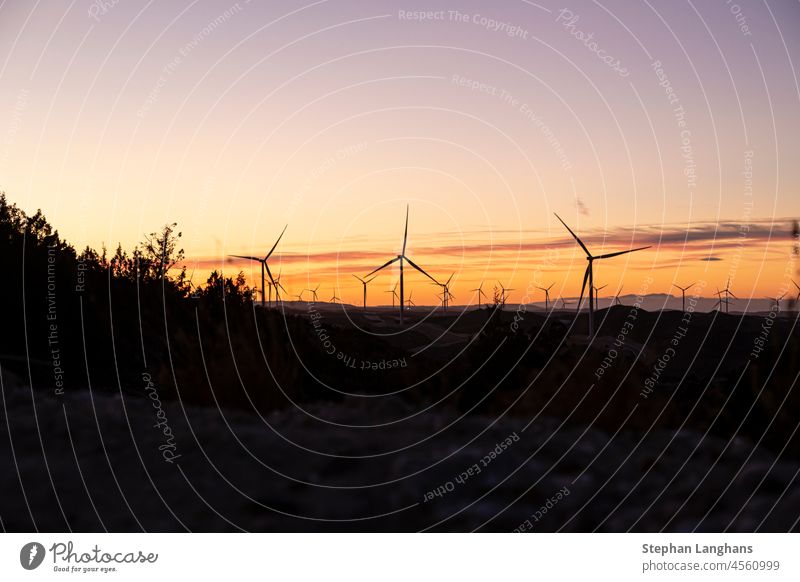 Blick auf einen großen Windpark bei Sonnenuntergang Windmühle Umwelt Energie Windkraft Natur Cloud regenerativ Erneuerbare Energie Technik & Technologie