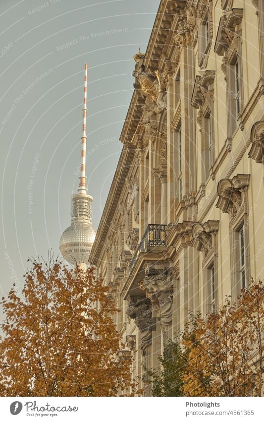 Fassade des Humboldt-Forums im Hintergrund der Berliner Fernsehturm Alex Hauptstadt Wahrzeichen Turm Sehenswürdigkeit Tourismus Architektur Großstadt Kugel