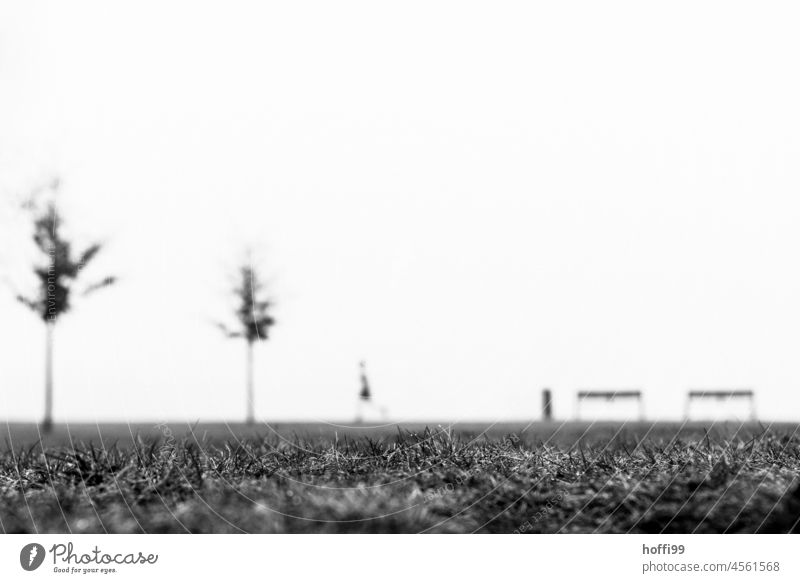 eine herbstlich verschwommene Szene im Nebel mit Sitzbänken, Bäumen, Joggerin, Jogger und Mülleimer Herbst Weserwehr Erwachsene Bewegung laufen Silhouette