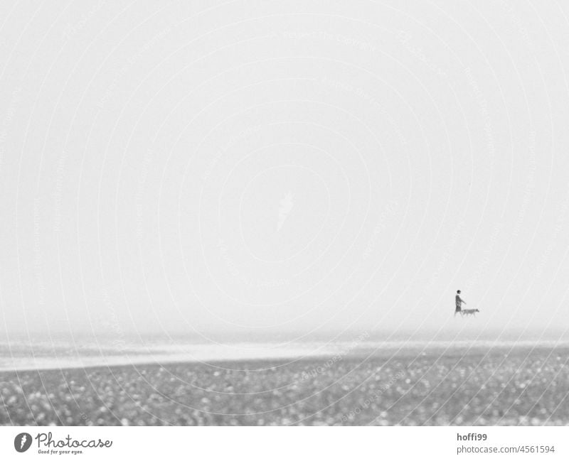 Spaziergang von Mensch und Hund im einsamen, nebligen Wattenmeer minimalistisch neblige Küste Nordsee Wattwandern Nebel Strand Nationalpark Horizont Stimmung