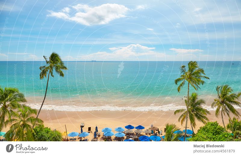 Tropischer Strand mit Kokosnusspalmen und Meerblick, Sri Lanka. MEER Wasser Natur Sommer tropisch Handfläche Tourismus Feiertage Urlaub Flucht türkis schön
