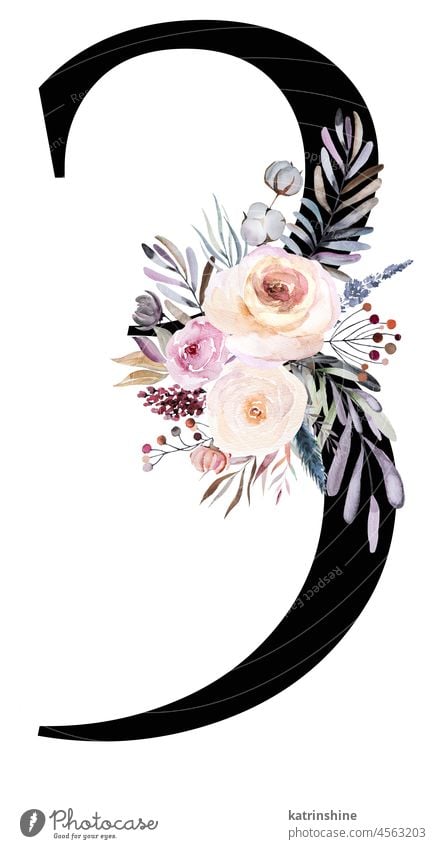 Florales Aquarell Nummer 3 mit pastellfarbenem Winterstrauß botanisch Charakter Zeichnung Element handgezeichnet Feiertag vereinzelt Natur numerisch Ornament