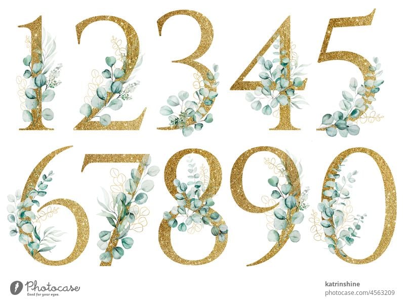 Goldene Zahlen mit grünen Aquarell Eukalyptuszweigen verziert isoliert botanisch Charakter Zeichnung Element handgezeichnet Feiertag vereinzelt Natur numerisch