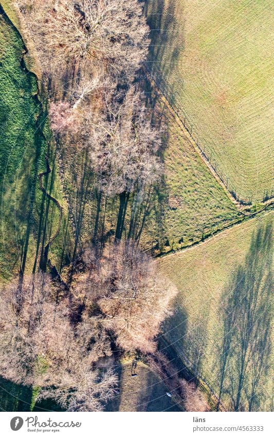 lange Schatten in der Landschaft Wiese Baum Bach grün Menschenleer Natur Vogelperspektive Luftaufnahme Drohnenansicht Landwirtschaft