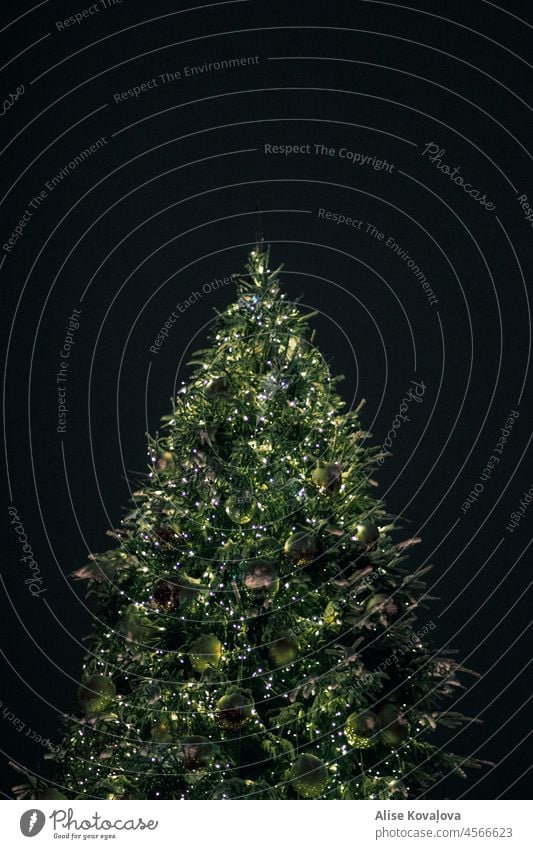Weihnachtsbaum Tannenbaum Baum Stubenschmuck Licht Weihnachtsbeleuchtung Weihnachten & Advent Baumschmuck Winter festlich Feier Weihnachtsstimmung