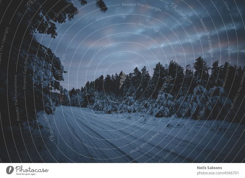 Ein schneebedeckter Weg zwischen den Bäumen des wilden Waldes. Abenteuer Hintergrund schön blau Ast Klima kalt deckend Tag Dezember Fußstapfen Frische Frost